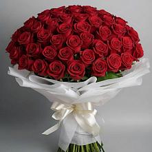 Букет 101 Красная роза Блэк Мэджик в Успенское