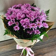 Букет цветов из:  Хризантемы #REPLACE_PRED# Успенское