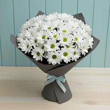 Букет цветов из:  Хризантемы #REPLACE_PRED# Успенское