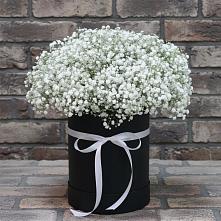 Цветочная композиция из Гипсофила в шляпной коробке в Успенское