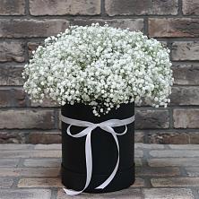 Цветочная композиция из Гипсофила в шляпной коробке в Успенское