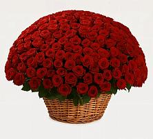 Премиум букет из: Розы в Успенское