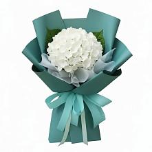 Букет цветов из:  Гортензия #REPLACE_PRED# Успенское